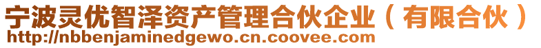 寧波靈優(yōu)智澤資產(chǎn)管理合伙企業(yè)（有限合伙）