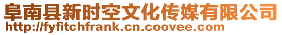 阜南縣新時空文化傳媒有限公司