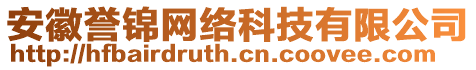 安徽譽(yù)錦網(wǎng)絡(luò)科技有限公司