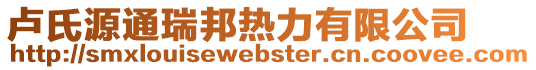 盧氏源通瑞邦熱力有限公司