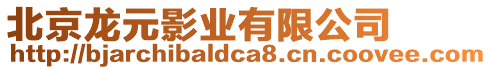 北京龍元影業有限公司
