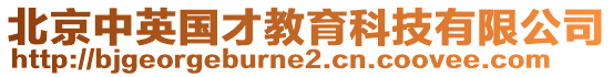 北京中英國才教育科技有限公司
