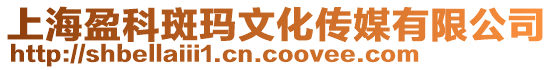 上海盈科斑瑪文化傳媒有限公司