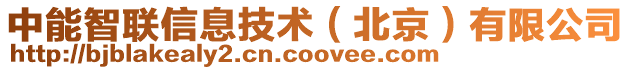 中能智聯信息技術(北京)有限公司