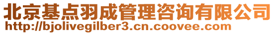 北京基點羽成管理咨詢有限公司