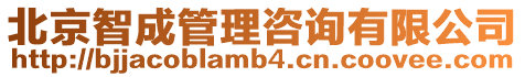 北京智成管理咨詢有限公司