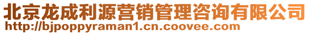 北京龍成利源營銷管理咨詢有限公司
