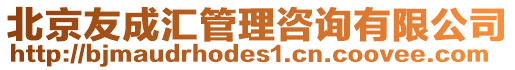 北京友成匯管理咨詢有限公司