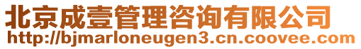 北京成壹管理咨詢有限公司