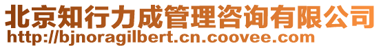 北京知行力成管理咨詢有限公司