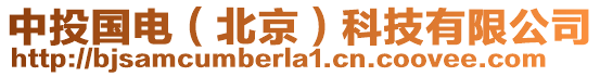 中投國電(北京)科技有限公司
