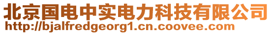 北京國電中實(shí)電力科技有限公司