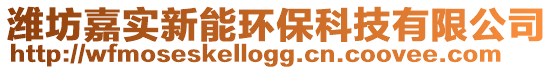 濰坊嘉實(shí)新能環(huán)保科技有限公司