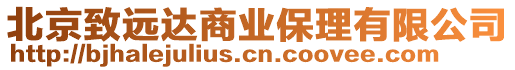 北京致遠達商業保理有限公司