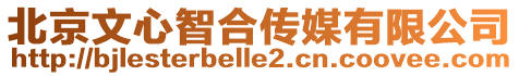 北京文心智合傳媒有限公司