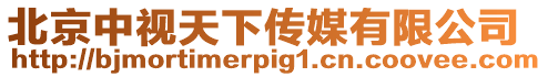 北京中視天下傳媒有限公司