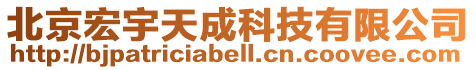 北京宏宇天成科技有限公司