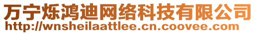 萬寧爍鴻迪網(wǎng)絡(luò)科技有限公司