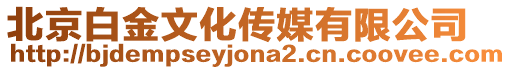 北京白金文化傳媒有限公司