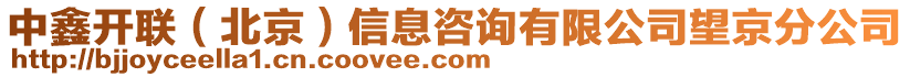 中鑫開聯(lián)(北京)信息咨詢有限公司望京分公司