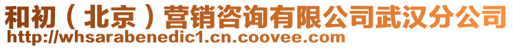 和初(北京)營銷咨詢有限公司武漢分公司