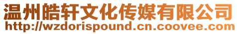 溫州皓軒文化傳媒有限公司