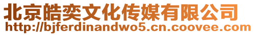 北京皓奕文化傳媒有限公司