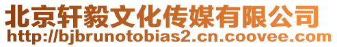 北京軒毅文化傳媒有限公司
