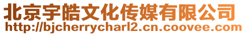 北京宇皓文化傳媒有限公司