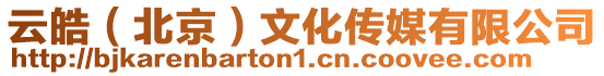 云皓(北京)文化傳媒有限公司