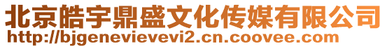 北京皓宇鼎盛文化傳媒有限公司