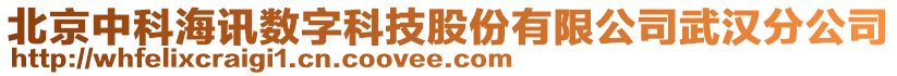 北京中科海訊數(shù)字科技股份有限公司武漢分公司