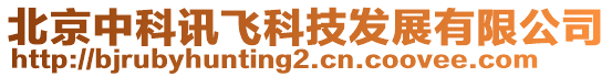 北京中科訊飛科技發(fā)展有限公司