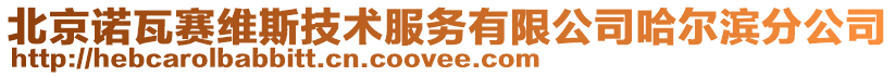 北京諾瓦賽維斯技術服務有限公司哈爾濱分公司