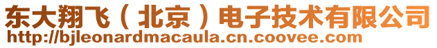 東大翔飛（北京）電子技術有限公司