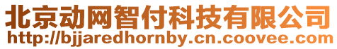 北京動網智付科技有限公司