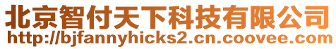 北京智付天下科技有限公司
