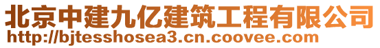 北京中建九億建筑工程有限公司