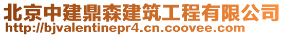 北京中建鼎森建筑工程有限公司