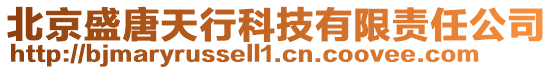北京盛唐天行科技有限責任公司