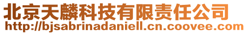 北京天麟科技有限責任公司