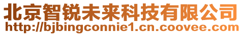北京智銳未來科技有限公司