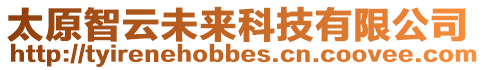 太原智云未來科技有限公司