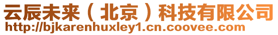 云辰未來(北京)科技有限公司