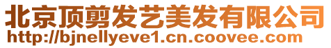 北京頂剪發(fā)藝美發(fā)有限公司