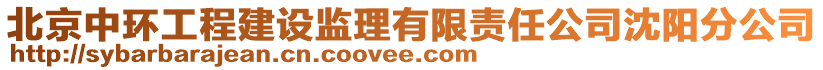 北京中環(huán)工程建設(shè)監(jiān)理有限責(zé)任公司沈陽分公司