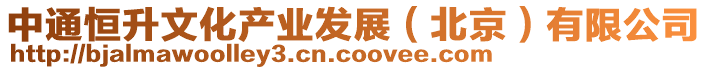中通恒升文化產業發展(北京)有限公司