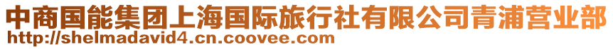 中商國(guó)能集團(tuán)上海國(guó)際旅行社有限公司青浦營(yíng)業(yè)部