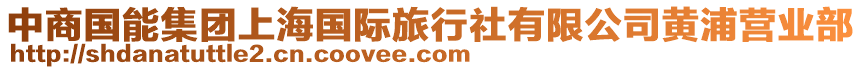 中商國(guó)能集團(tuán)上海國(guó)際旅行社有限公司黃浦營(yíng)業(yè)部