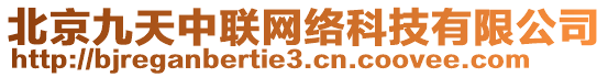 北京九天中聯(lián)網(wǎng)絡科技有限公司